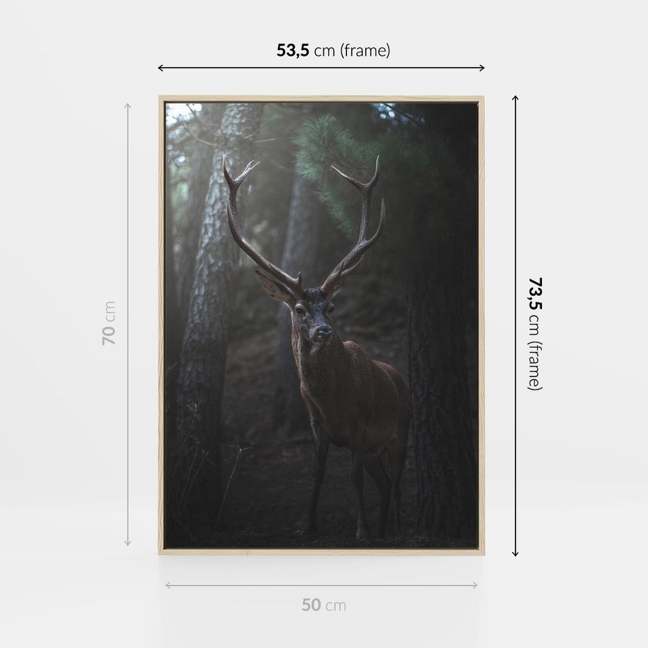 Obraz w ramie 50x70 - Jeleń wśród lasu - jeleń, las - rama drewno