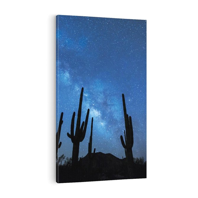 Obraz na płótnie 50x70 - Kaktusy - Niebo z gwiazdami - kaktusy, niebo