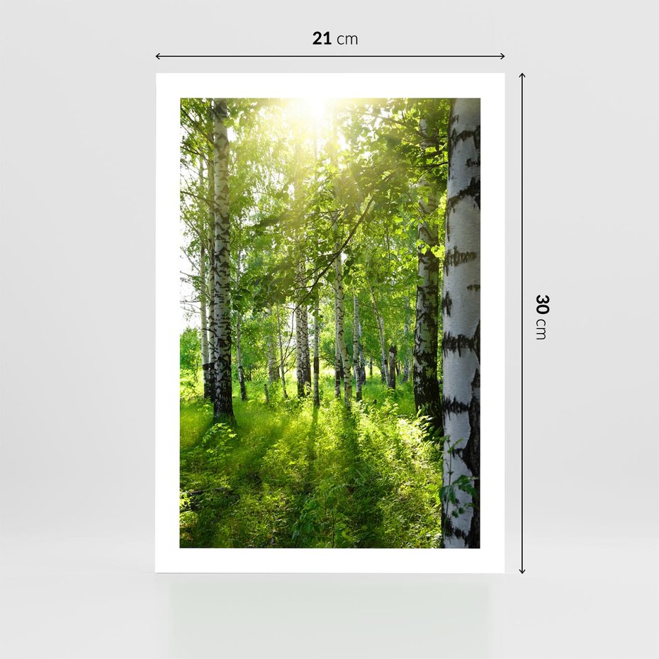 Plakat bez ramy 21x30 - Lasowa Księżycowa Noc - las, drzewa