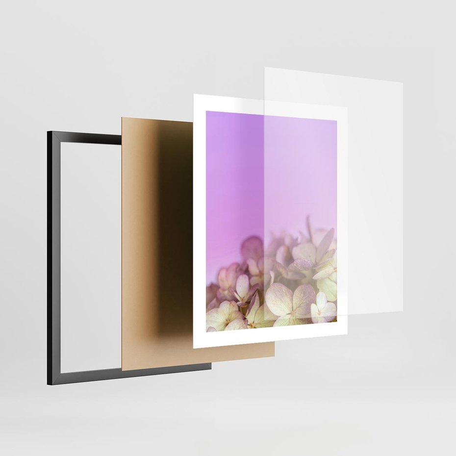Plakat w ramie 40x50 - Kwiatowa Uroda - kwiaty, hortensje - rama czarna