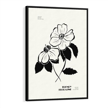 Obraz w ramie 50x70 - Poezja kwiecistej kreski - kwiaty, minimalistyczne - rama czarna