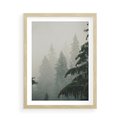 Plakat w ramie 50x70 - Mglista przemiana lasu - las, mgła - rama drewno