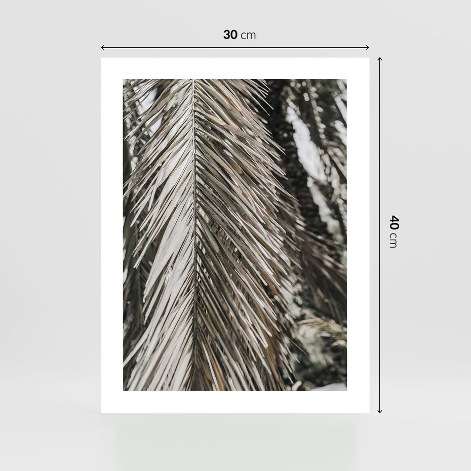 Plakat bez ramy 30x40 - Egzotyczne Gałęzie - suche gałęzie, liście palmy