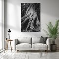 Obraz na płótnie 80x120 - Siła Natury - czarno biała fotografia, korzenie wielkiego drzewa