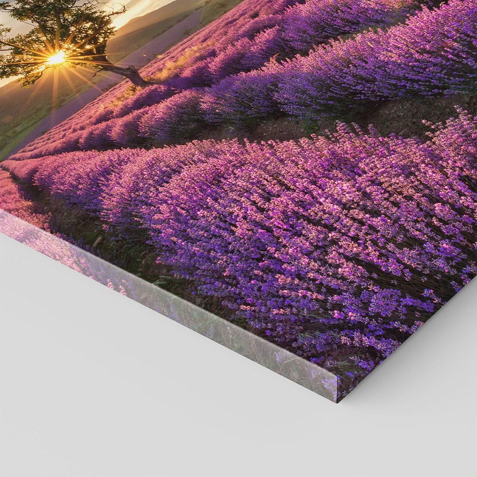 Obraz na płótnie 80x80 - Lawenda: Pachnący ogród natury - lawenda, kwiaty