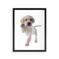 Plakat w ramie 30x40 - Szczeniak pełen radości - piesek, szczeniak - rama czarna