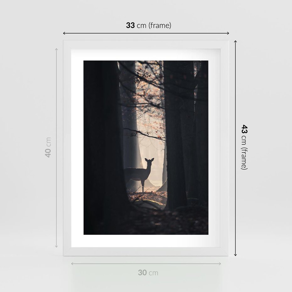Plakat w ramie 30x40 - Sarnie Skoki - zdjęcie, klimatyczny las - rama biała