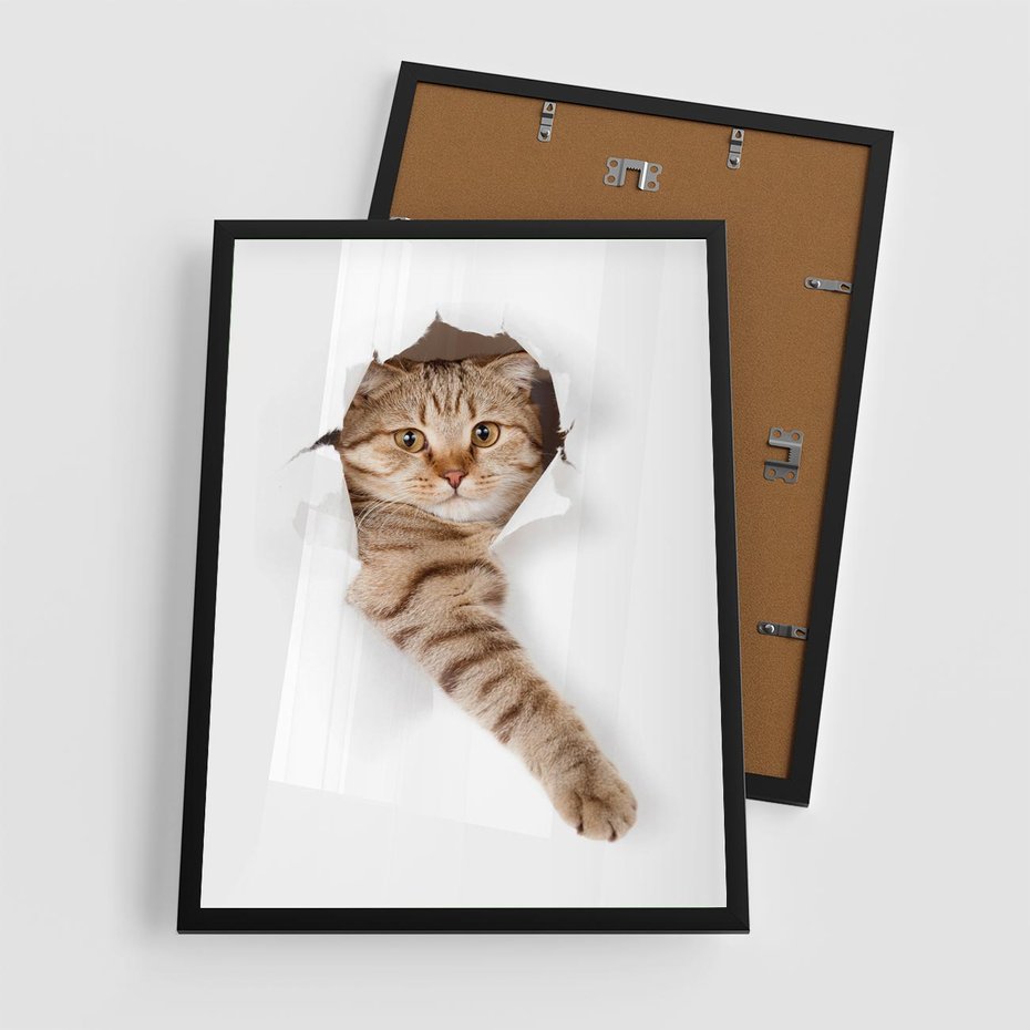 Plakat w ramie 50x70 - Kot w Dziurze - kot, dziura - rama czarna