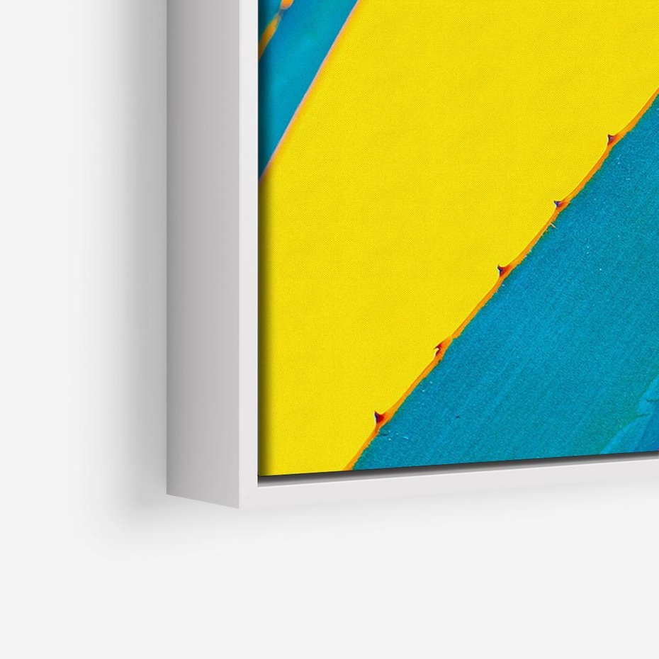 Obraz w ramie 100x70 - Świeżość Natury - aloes, liście - rama biała