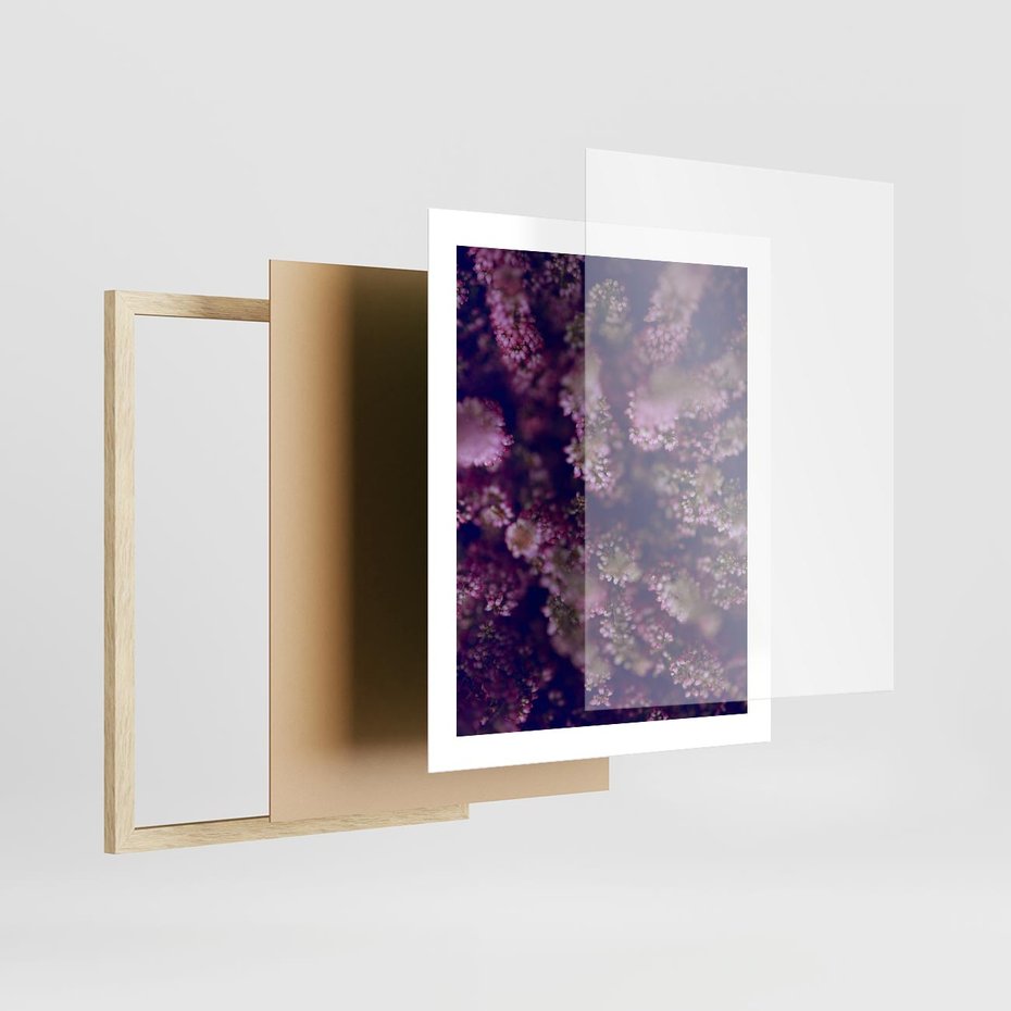 Plakat w ramie 40x50 - Wrzosowa Delikatność - wrzosy, kwiaty - rama drewno