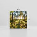 Obraz na płótnie 50x50 - Obfitość natury - las, drzewa
