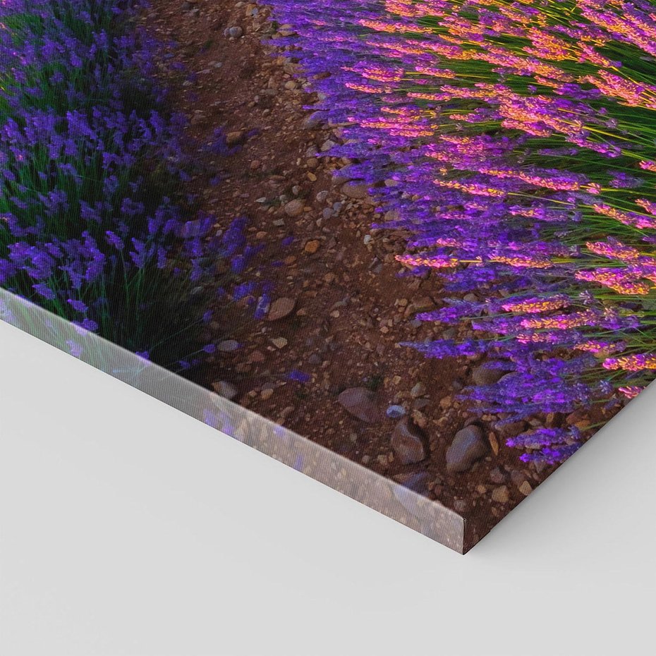 Obraz na płótnie 120x80 - Fioletowa Magia - pole, lawendy