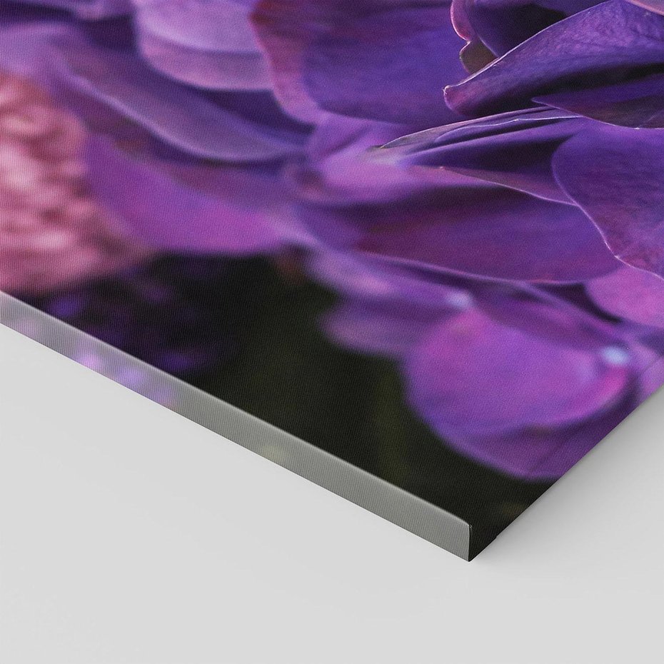 Obraz na płótnie 120x80 - Fioletowa hortensja - kwiaty, hortensja