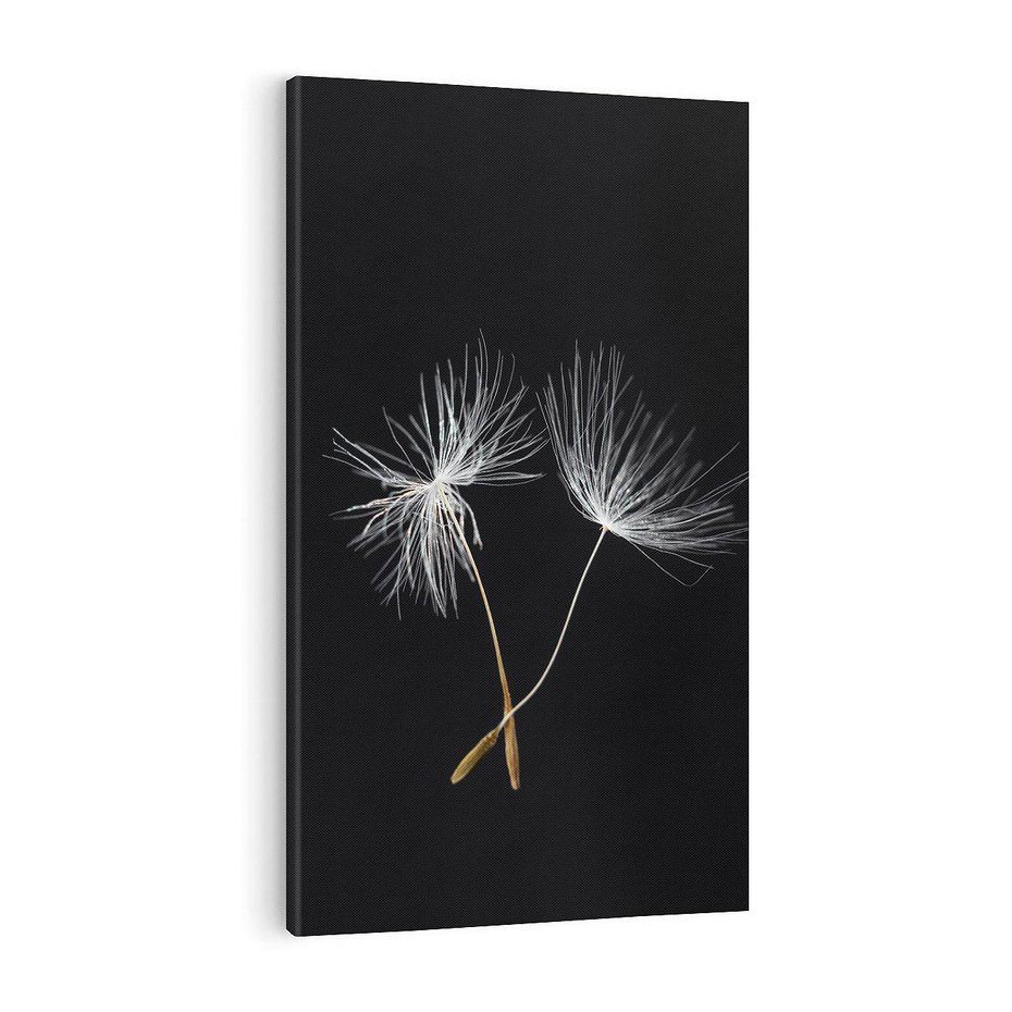 Obraz na płótnie 50x70 - Delikatność Wiatru - dmuchawce, makro