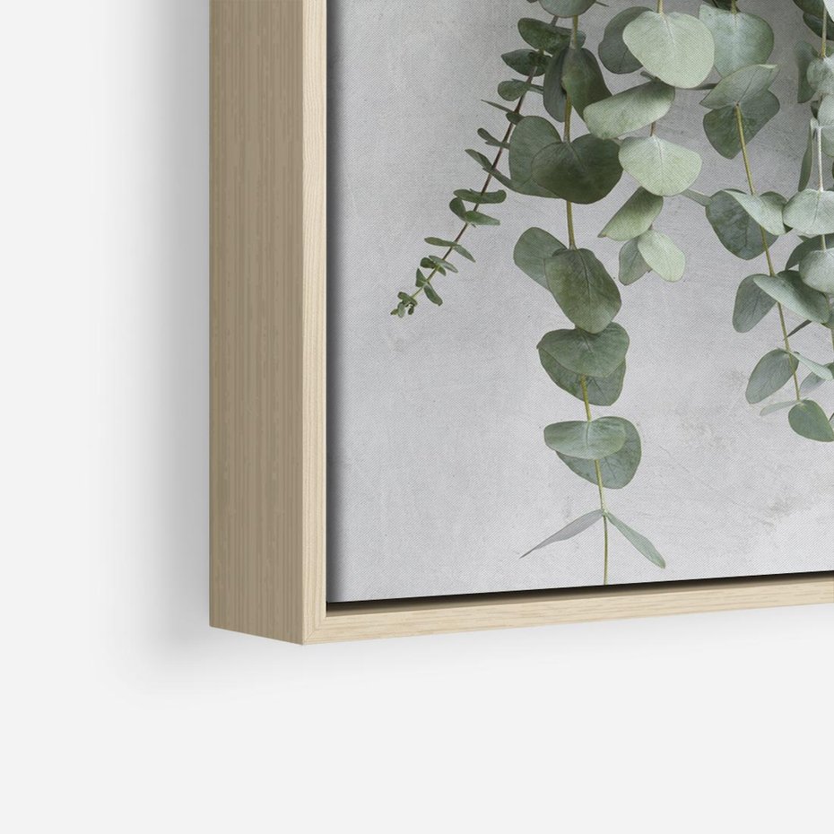 Obraz w ramie 50x50 - Uwodzicielska zieleń eukaliptusa - eukaliptus, zielone - rama drewno