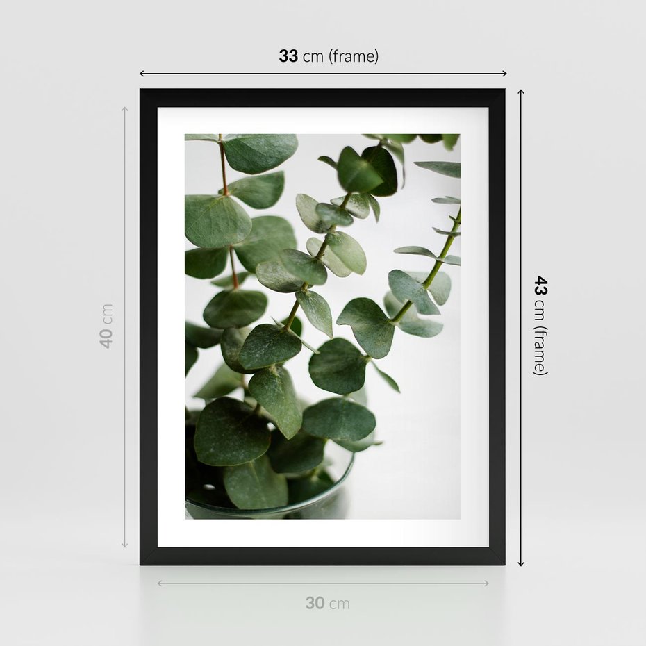 Plakat w ramie 30x40 - Zielone eukaliptusy - eukaliptus, liście - rama czarna