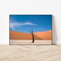 Obraz w ramie 70x50 - Słońce i Suche Drzewo - pustynia, suche - rama czarna