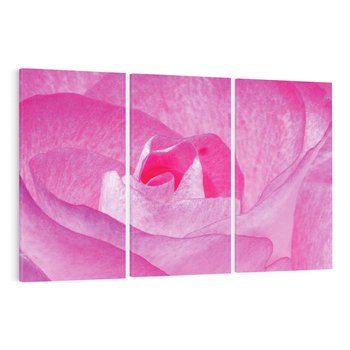 Obraz na płótnie 120x80 - Kwiaty w harmonii z naturą - kwiat, kwiaty