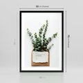 Plakat w ramie 50x70 - Eukaliptusowa harmonia - eukaliptus, liście - rama czarna