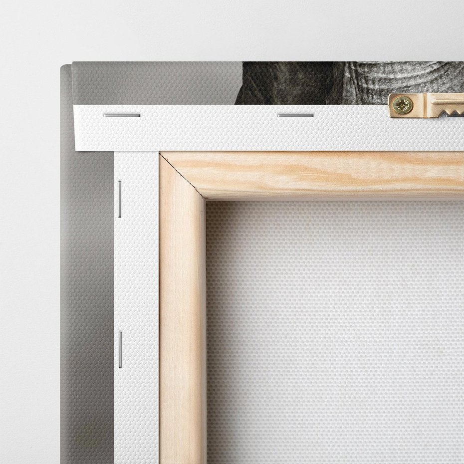 Obraz na płótnie 70x70 - Majestatyczny słoń Afryki - słoń, Afryka