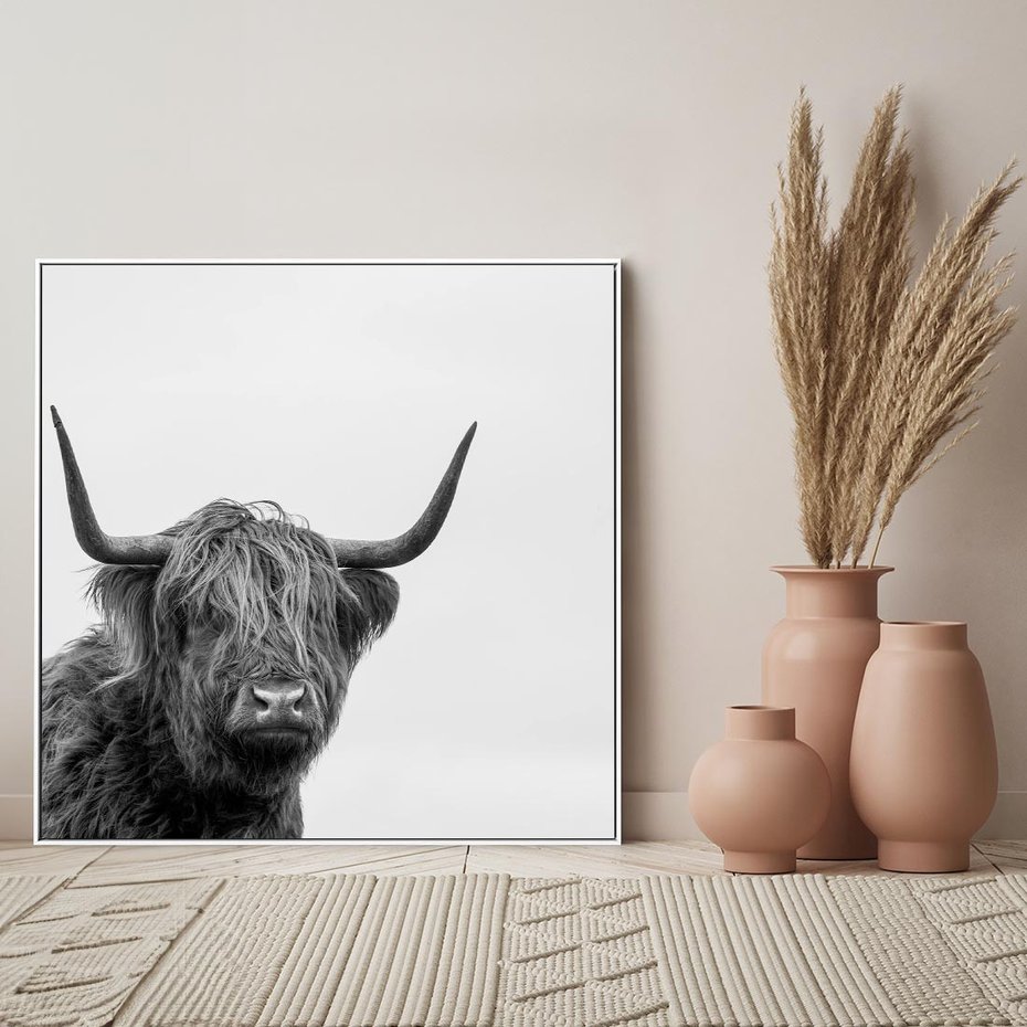 Obraz w ramie 80x80 - Moc i Spokój - amerykańskie bydło, byk - rama biała