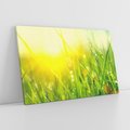 Obraz na płótnie 120x80 - Piękno Poranka - łąka, trawa