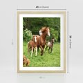 Plakat w ramie 40x50 - Galopujące konie - konie, galop - rama drewno