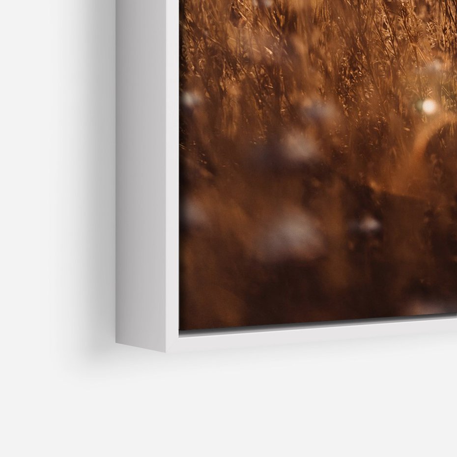 Obraz w ramie 80x120 - Zachwyt zachodem słońca na łące - zachód, słońca - rama biała