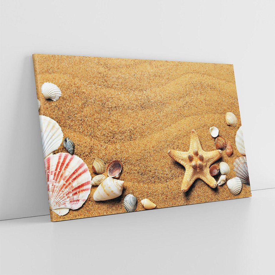 Obraz na płótnie 120x80 - Muszelki na malowniczej plaży - muszle, muszelki