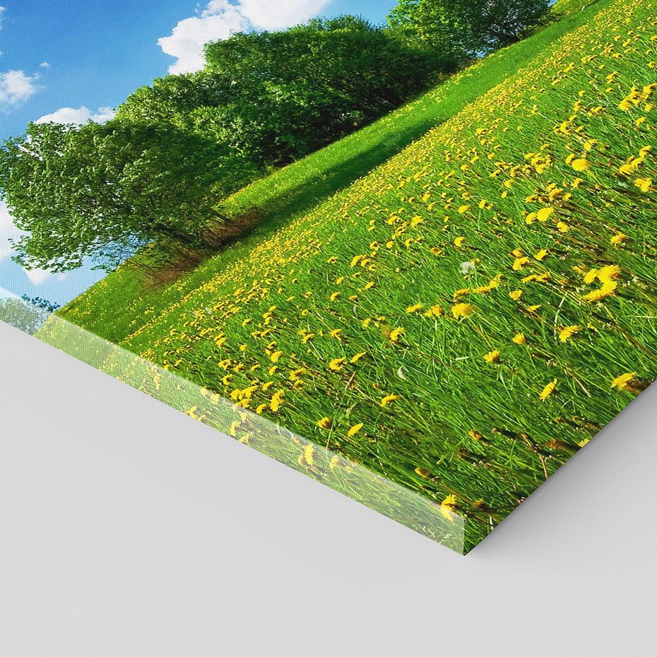 Obraz na płótnie 100x50 - Polana wśród drzew: Spokój i harmonia - polana, łąka