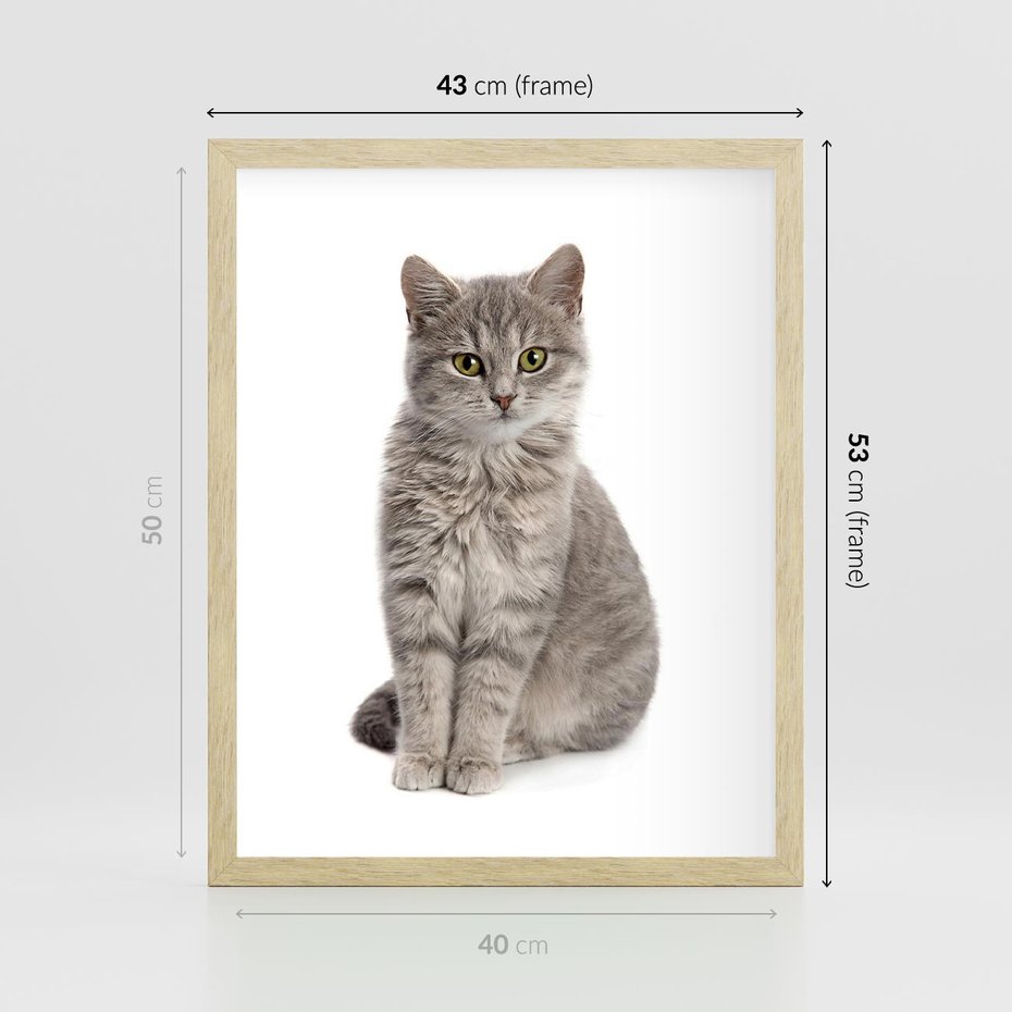 Plakat w ramie 40x50 - Kocie uroki na płótnie - kot, kotek - rama drewno