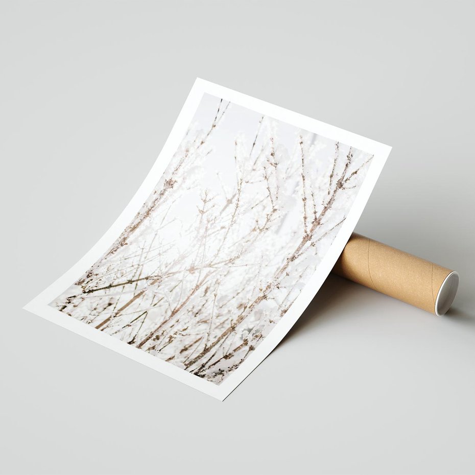 Plakat bez ramy 21x30 - Szron na Gałęziach - ośnieżone gałązki, szron na gałęziach