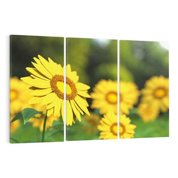 Obraz na płótnie 120x80 - Kwiatowa łąka - kwiaty, łąka