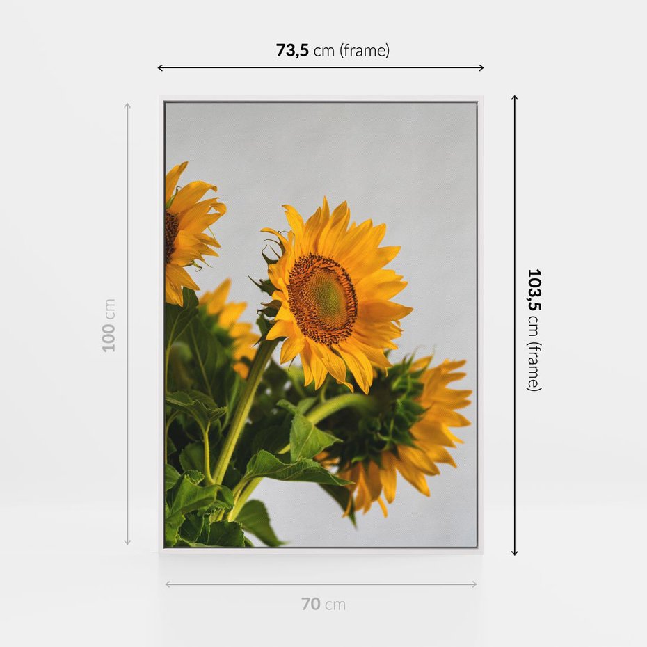 Obraz w ramie 70x100 - Słoneczna Radość - fotografia, żółte słoneczniki - rama biała