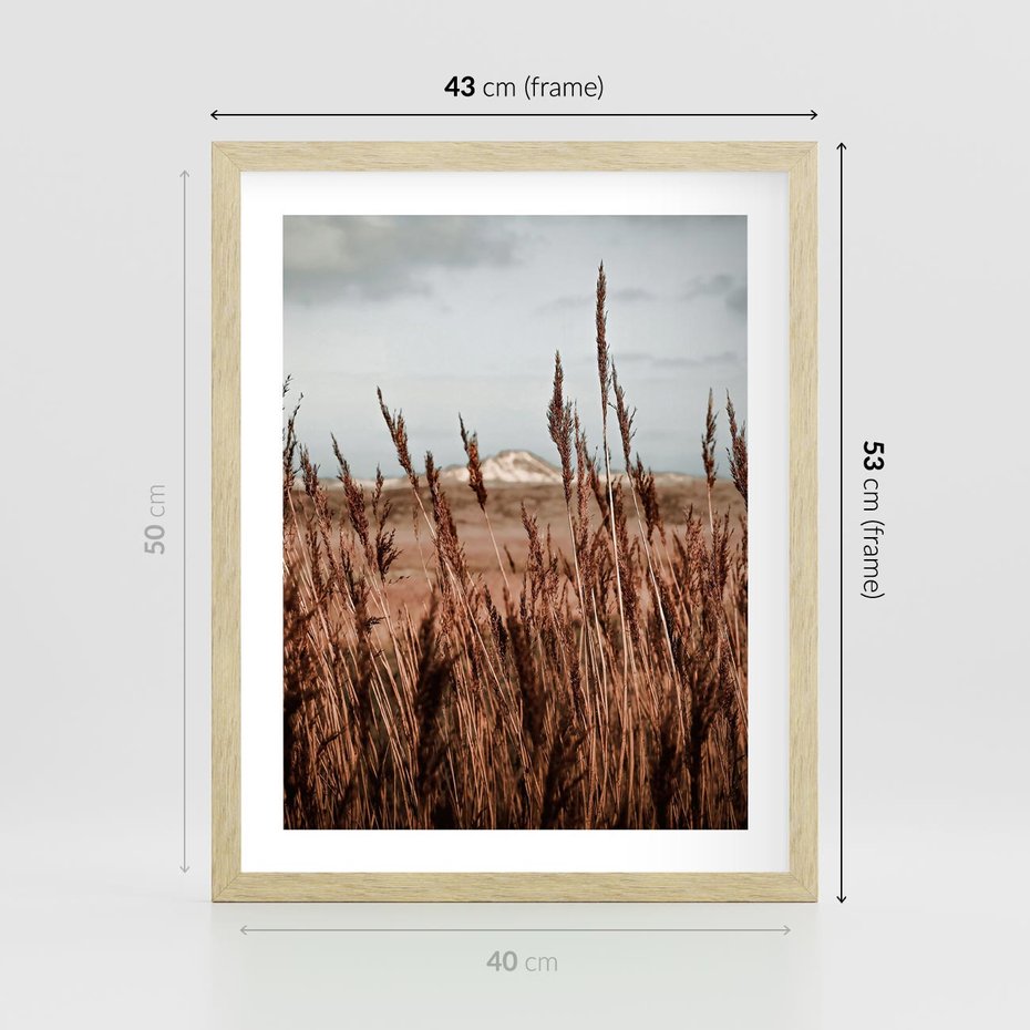 Plakat w ramie 40x50 - Wysokie Trawy w Górskim Krajobrazie - suche trawy, wysokie trawy - rama drewno