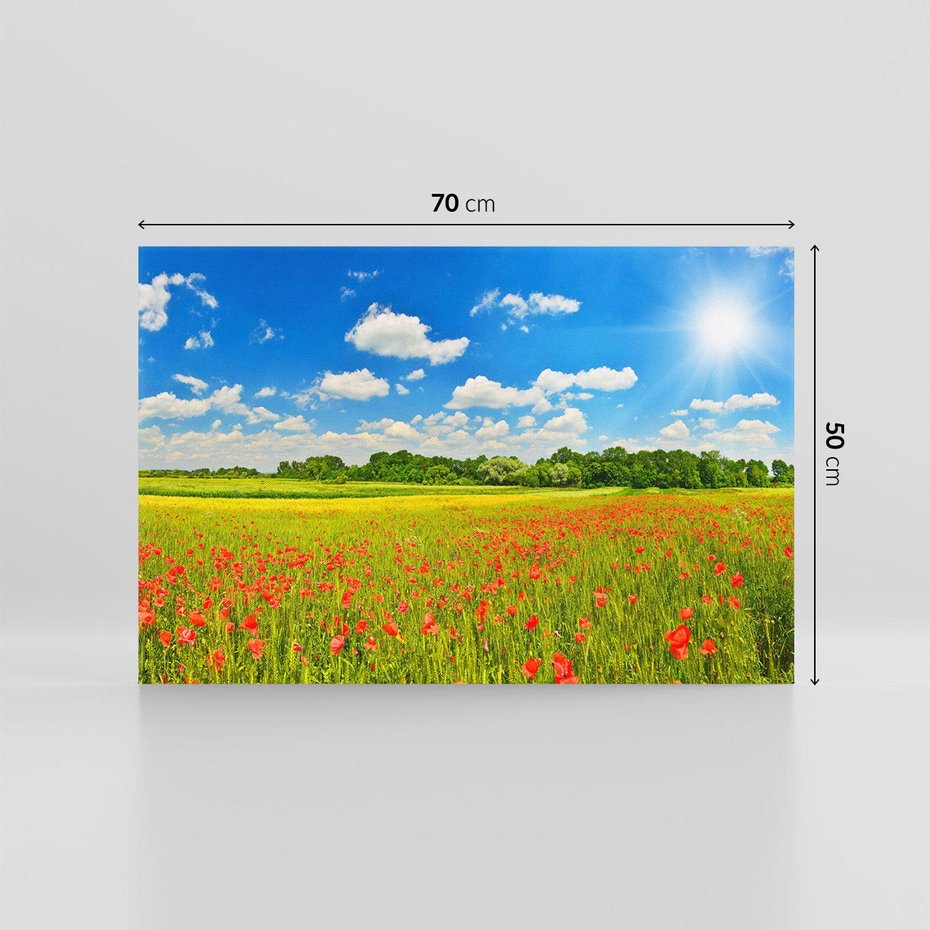 Obraz na płótnie 70x50 - Malownicze maki na łące - maki, łąka