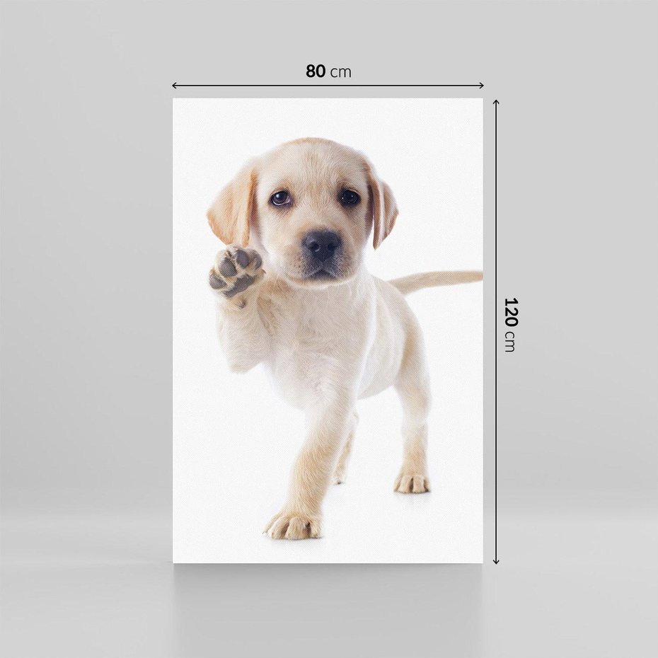 Obraz na płótnie 80x120 - Szczeniak pełen radości - piesek, szczeniak