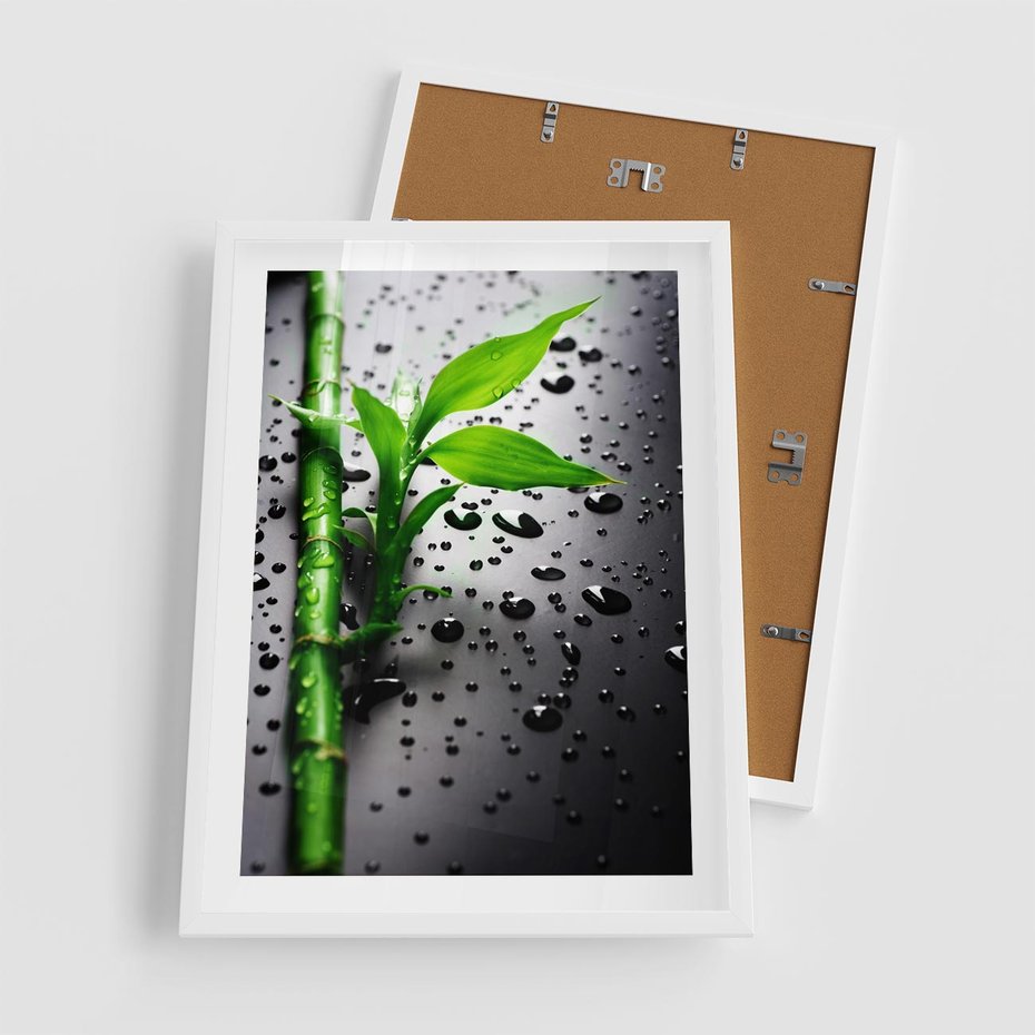 Plakat w ramie 50x70 - Bambusowa Harmonia - bambus, liście - rama biała
