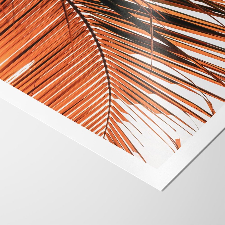 Plakat bez ramy 21x30 - Słońce na Palmie - palma, promienie słońca