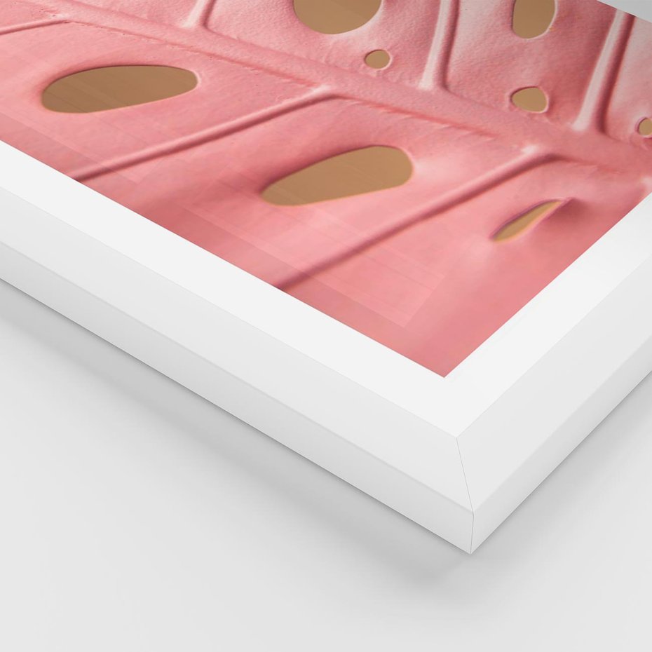 Plakat w ramie 40x50 - Różowy Liść Monstery - różowy liść monstery, nowoczesna fotografia - rama biała