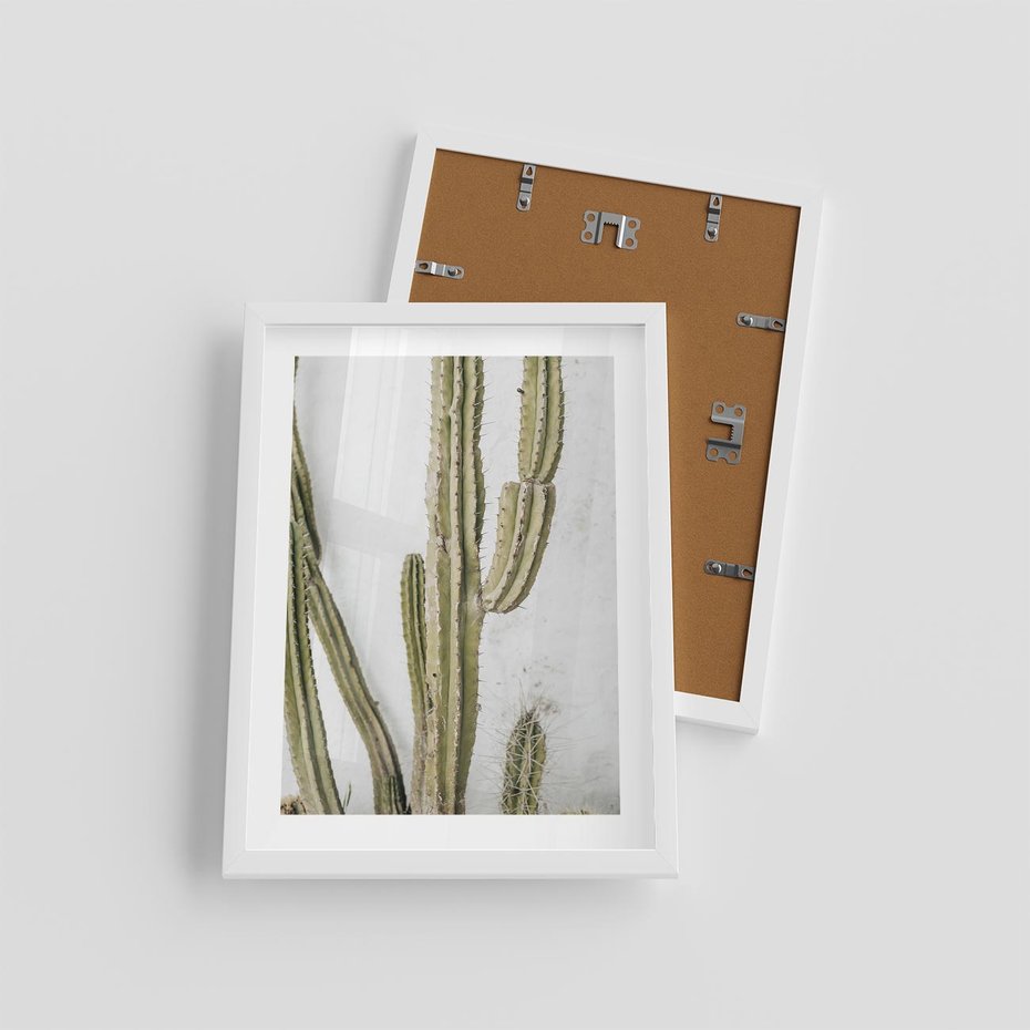 Plakat w ramie 30x40 - Kaktus w Stylu Boho - kaktus, roślina tropikalna - rama biała