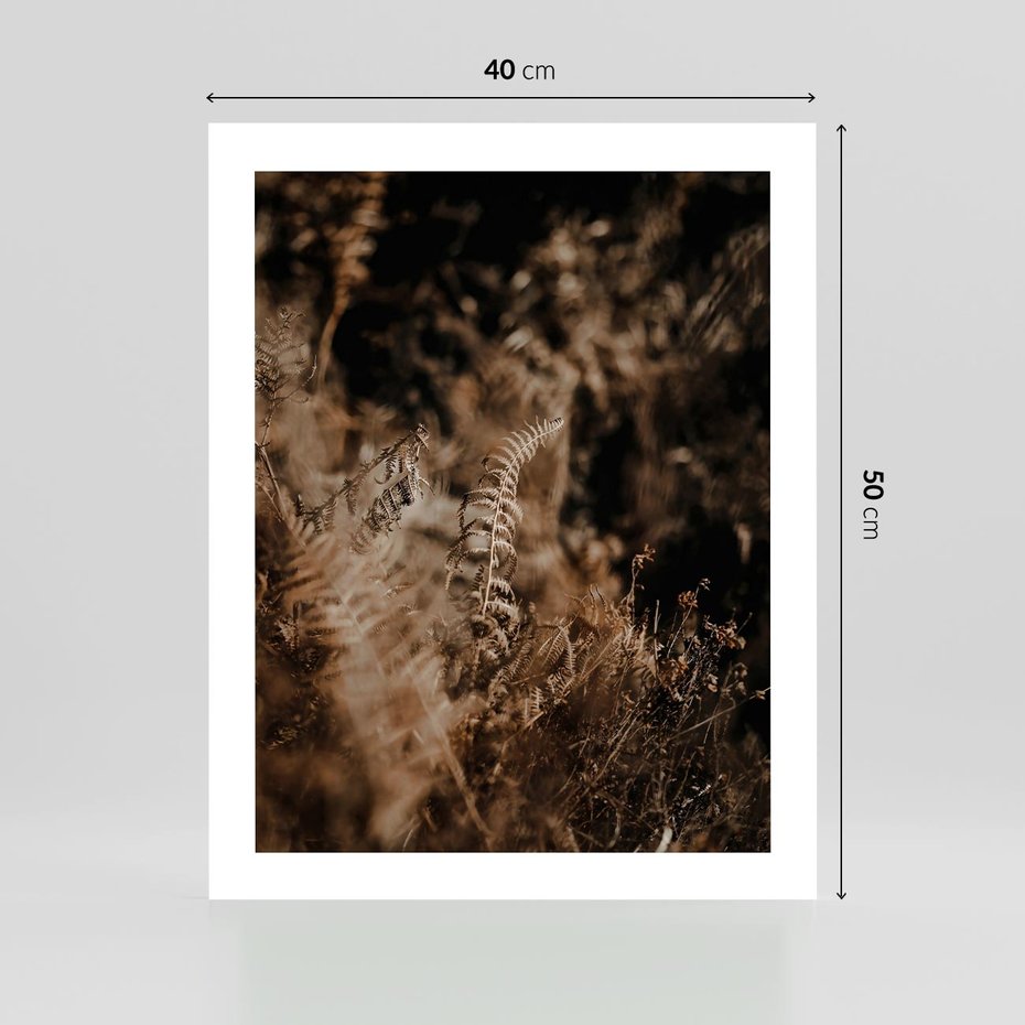 Plakat bez ramy 40x50 - Delikatne Detale - paprocie, brąz