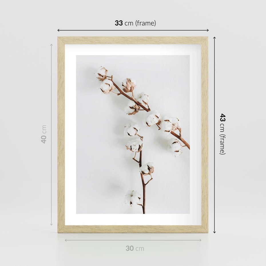 Plakat w ramie 30x40 - Gałęzie Bawełny na Białym Tle - gałęzie bawełny na białym tle, minimalizm - rama drewno