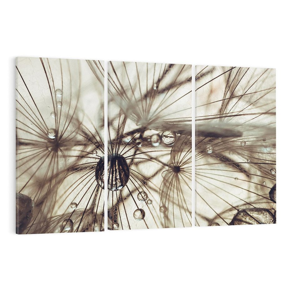 Obraz na płótnie 120x80 - Lekkie dmuchawce - dmuchawce, krople