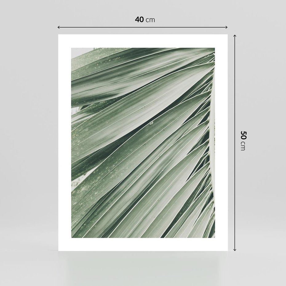 Plakat bez ramy 40x50 - Tropikalna Oaza - zielony liść palmy, zieleń
