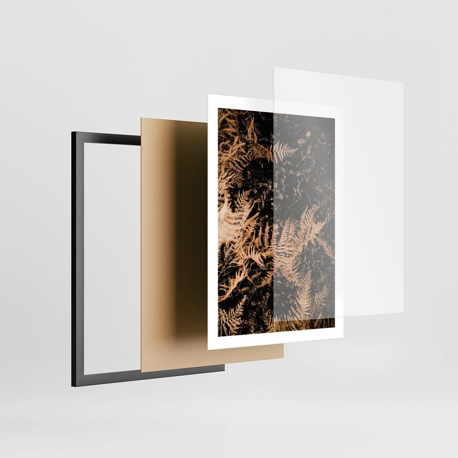 Plakat w ramie 50x70 - Jesienne Paprocie: Kolorowa Paleta Natury - paprocie, jesień - rama czarna