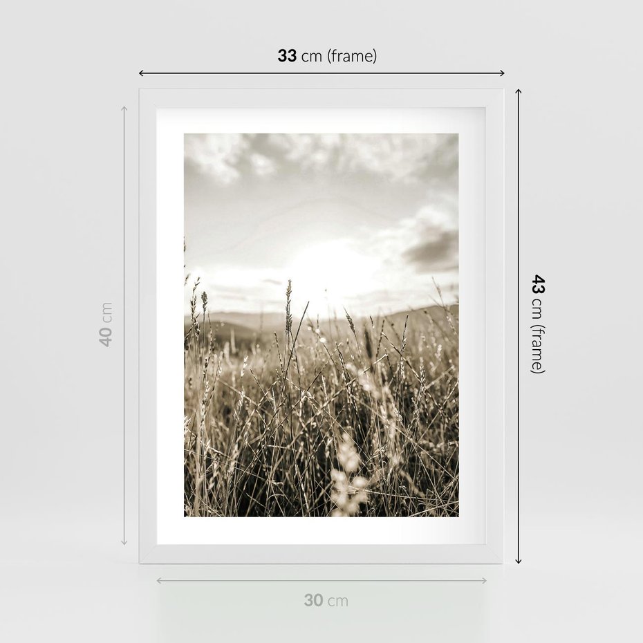 Plakat w ramie 30x40 - Łąka w Klimacie Sepii - suche trawy, łąka - rama biała