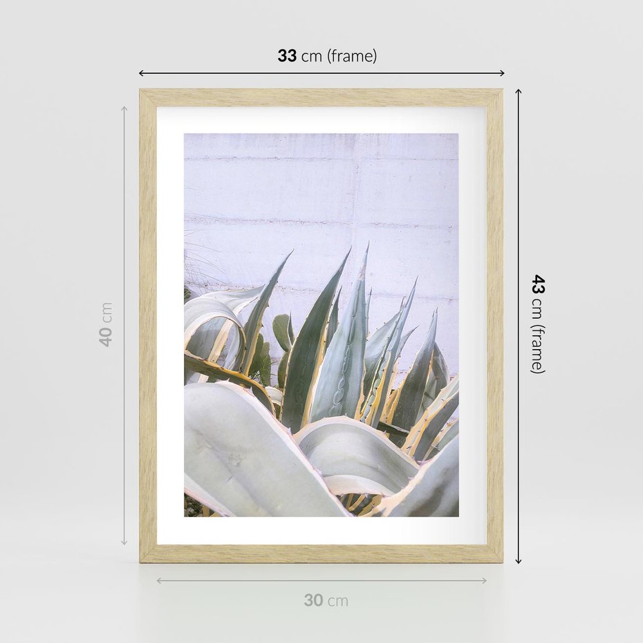 Plakat w ramie 30x40 - Sukulentowe liście - liście, sukulenty - rama drewno