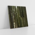 Obraz na płótnie 60x60 - Wyjątkowy Klimat Boho - kaktusy, pustynia