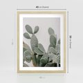 Plakat w ramie 40x50 - Imponujący Kaktus - duży kaktus, opuncja - rama drewno